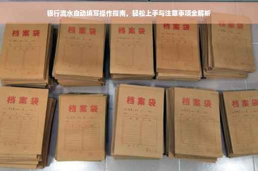 银行流水自动填写操作指南，轻松上手与注意事项全解析