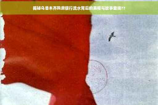 揭秘乌鲁木齐购房银行流水背后的真相与故事查询??