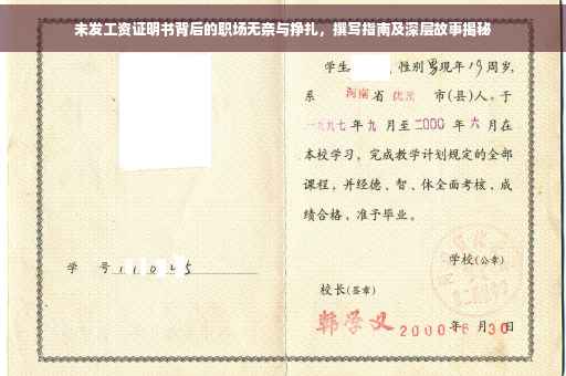 未发工资证明书背后的职场无奈与挣扎，撰写指南及深层故事揭秘
