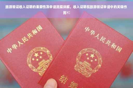 旅游签证收入证明的重要性及申请流程详解，收入证明在旅游签证申请中的关键作用?✨