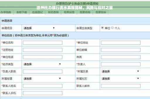 徐州代办银行流水真相揭秘，风险与应对之策