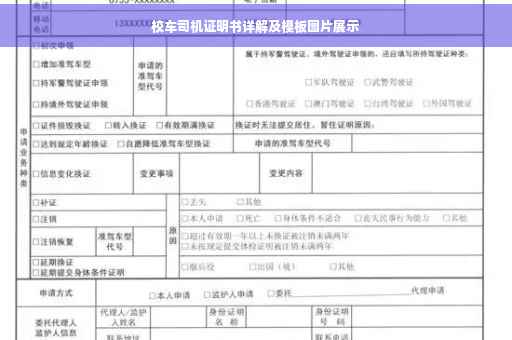 校车司机证明书详解及模板图片展示