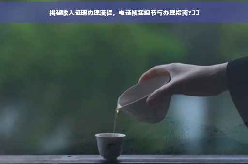 揭秘收入证明办理流程，电话核实细节与办理指南?⚡️