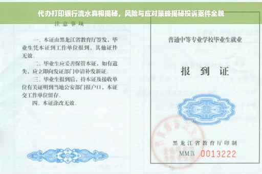 代办打印银行流水真相揭秘，风险与应对策略揭秘投诉案件全貌