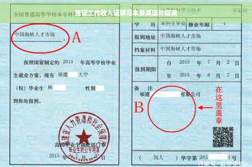 签证工作收入证明范本及其图片指南
