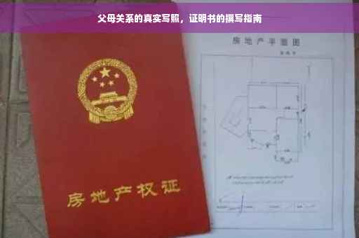 父母关系的真实写照，证明书的撰写指南