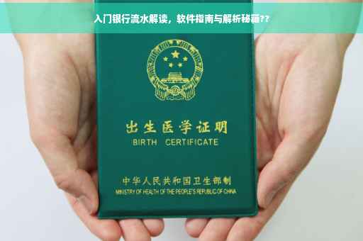 入门银行流水解读，软件指南与解析秘籍??