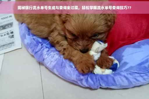 揭秘银行流水单号生成与查询全过程，轻松掌握流水单号查询技巧??