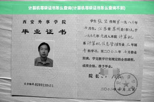 计算机等级证书怎么查询(计算机等级证书怎么查询不到)
