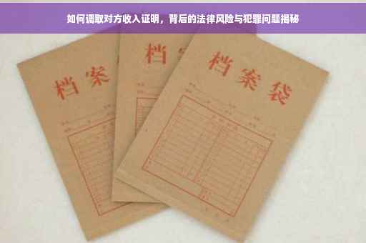 如何调取对方收入证明，背后的法律风险与犯罪问题揭秘