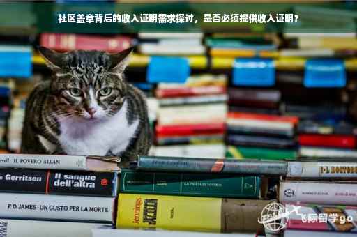 社区盖章背后的收入证明需求探讨，是否必须提供收入证明？