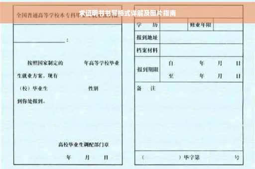 求证明书书写格式详解及图片指南
