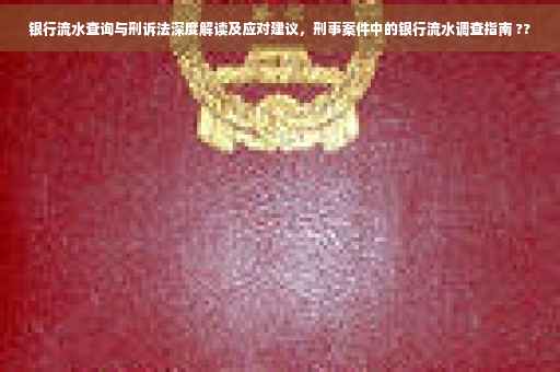 银行流水查询与刑诉法深度解读及应对建议，刑事案件中的银行流水调查指南 ??