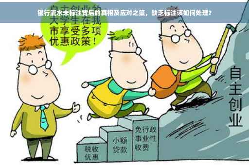 银行流水未标注背后的真相及应对之策，缺乏标注该如何处理？