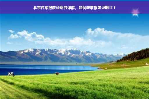 北京汽车报废证明书详解，如何获取报废证明⚡️?