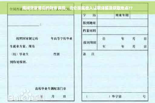 揭秘贷款背后的财务真相，北仑按揭收入证明详解及获取地点??