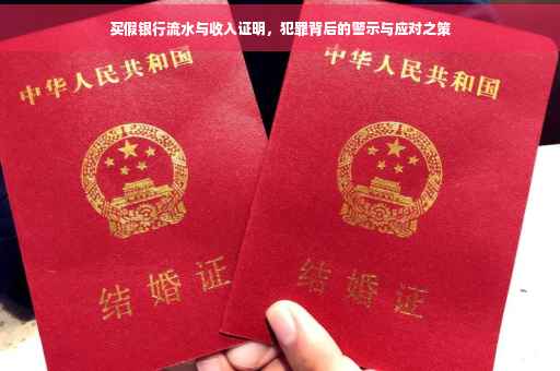 买假银行流水与收入证明，犯罪背后的警示与应对之策