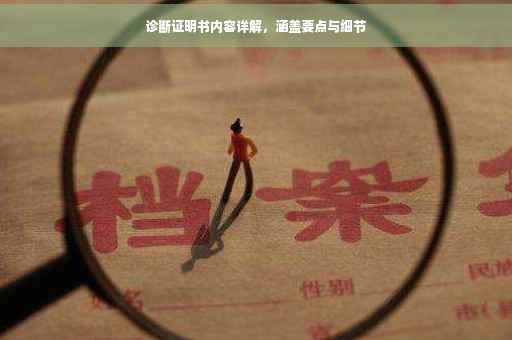 诊断证明书内容详解，涵盖要点与细节