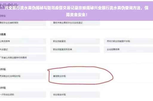 兴业银行流水真伪揭秘与防范虚假交易记录攻略揭秘兴业银行流水真伪查询方法，保障资金安全！