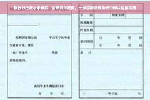 银行分行流水单详解，洞悉资金流向，一图掌握财务轨迹??图片解读指南