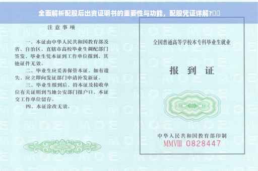 全面解析配股后出资证明书的重要性与功能，配股凭证详解?⚡️