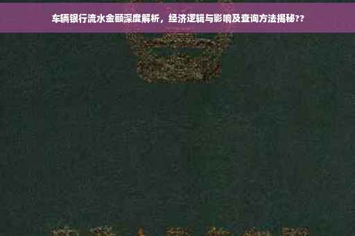 车辆银行流水金额深度解析，经济逻辑与影响及查询方法揭秘??
