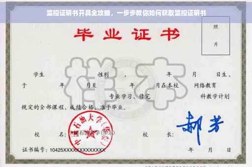 监控证明书开具全攻略，一步步教你如何获取监控证明书