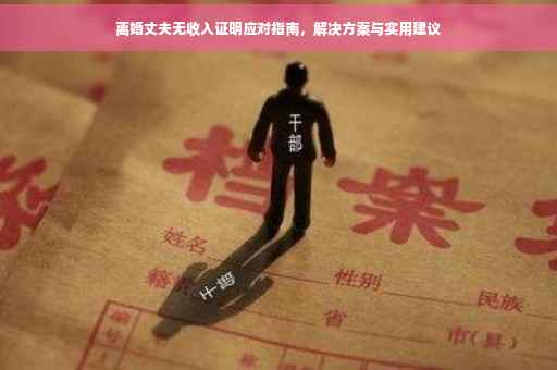 离婚丈夫无收入证明应对指南，解决方案与实用建议