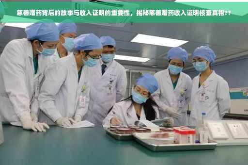 慈善赠药背后的故事与收入证明的重要性，揭秘慈善赠药收入证明核查真相??