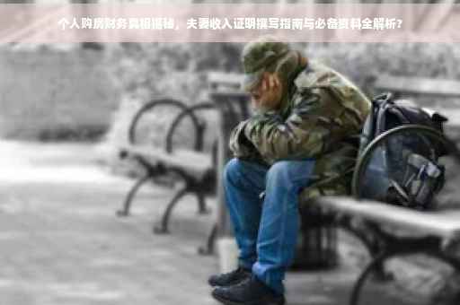 个人购房财务真相揭秘，夫妻收入证明撰写指南与必备资料全解析?