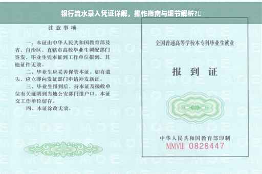 银行流水录入凭证详解，操作指南与细节解析?✨