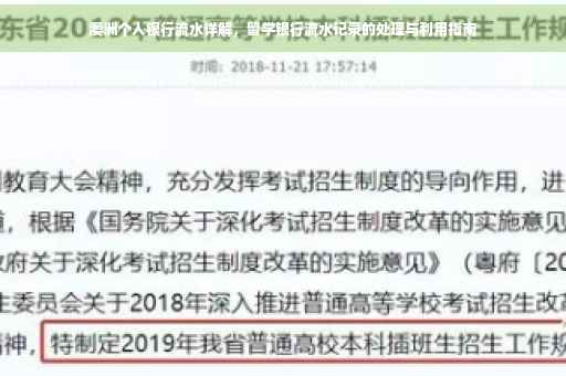 澳洲个人银行流水详解，留学银行流水记录的处理与利用指南