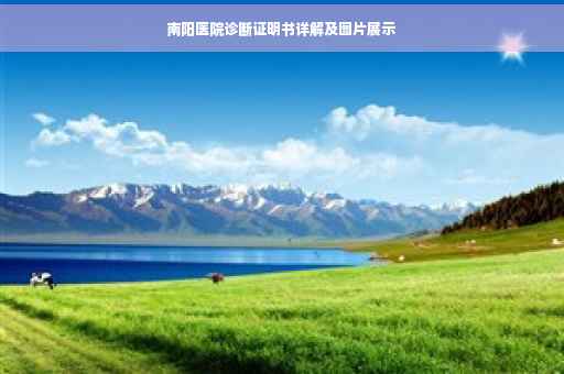 南阳医院诊断证明书详解及图片展示