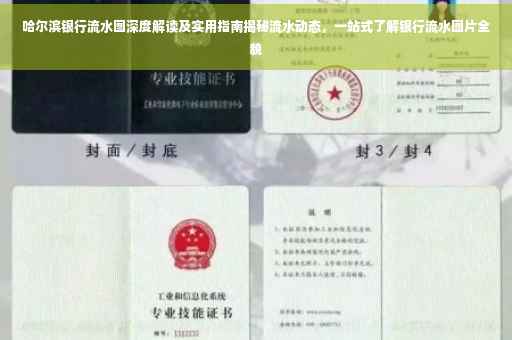 哈尔滨银行流水图深度解读及实用指南揭秘流水动态，一站式了解银行流水图片全貌