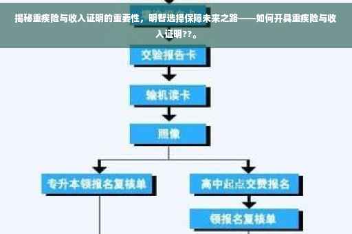 揭秘重疾险与收入证明的重要性，明智选择保障未来之路——如何开具重疾险与收入证明??。