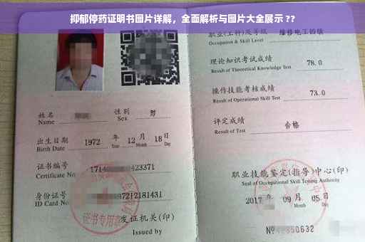 抑郁停药证明书图片详解，全面解析与图片大全展示 ??