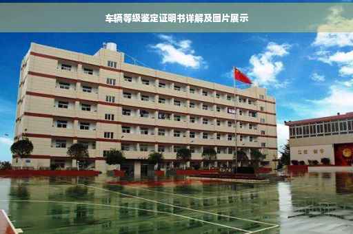 车辆等级鉴定证明书详解及图片展示