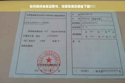 如何提供单亲证明书，详细指南及模板下载?⚡️