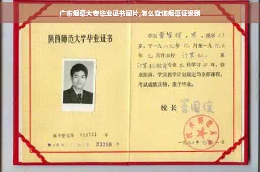 广东烟草大专毕业证书图片,怎么查询烟草证级别