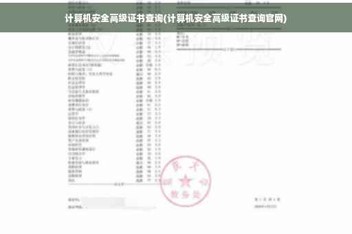 计算机安全高级证书查询(计算机安全高级证书查询官网)