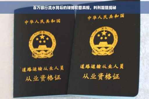 百万银行流水背后的赌博犯罪真相，判刑期限揭秘
