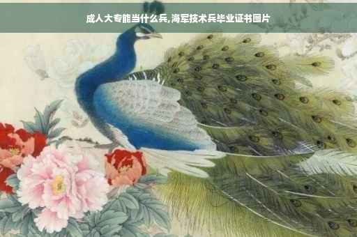 成人大专能当什么兵,海军技术兵毕业证书图片
