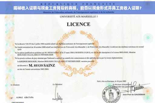 揭秘收入证明与现金工资背后的真相，能否以现金形式开具工资收入证明？
