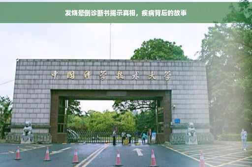 发烧晕倒诊断书揭示真相，疾病背后的故事