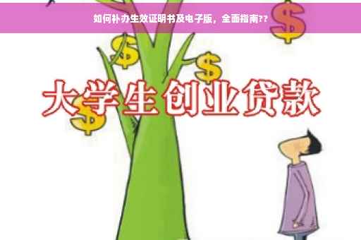 如何补办生效证明书及电子版，全面指南??