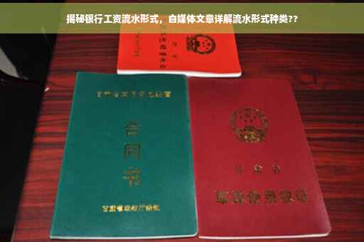 揭秘银行工资流水形式，自媒体文章详解流水形式种类??