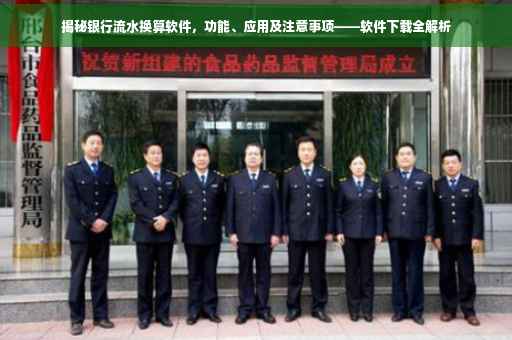揭秘银行流水换算软件，功能、应用及注意事项——软件下载全解析