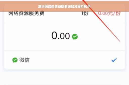 泗洪医院疾病证明书详解及图片展示
