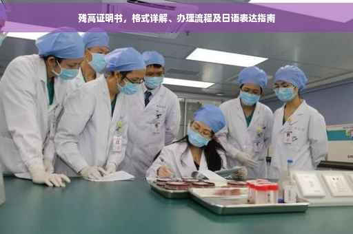 残高证明书，格式详解、办理流程及日语表达指南