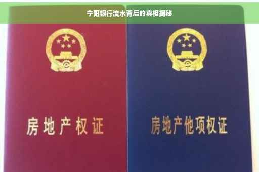 宁阳银行流水背后的真相揭秘